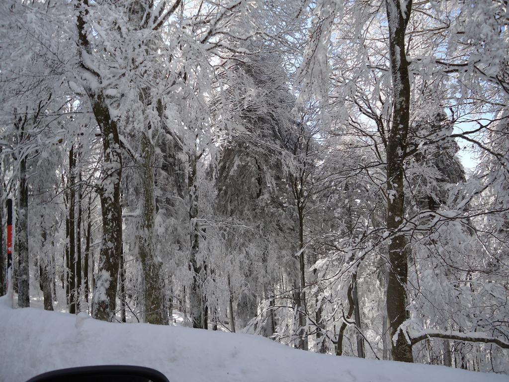 席勒伯格酒店 Schonach im Schwarzwald 外观 照片