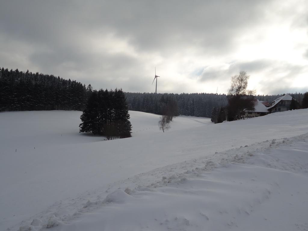 席勒伯格酒店 Schonach im Schwarzwald 外观 照片